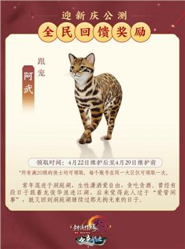梦幻失落天龙八部私服
